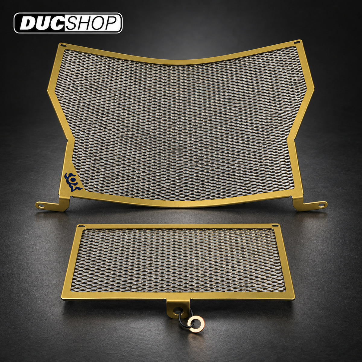 Cox Racing Radiator Guards for the BMW S1000RR (2020+) | Radiator & Oil Cooler Guards | ducshop.com