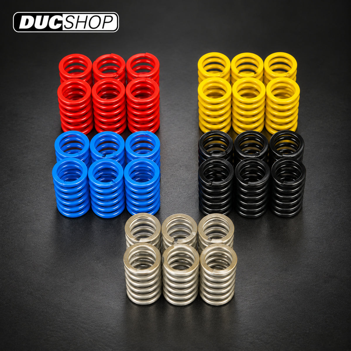 DBK Special Parts (Ducabike) Dry Clutch Springs (6) | Dry Clutch Hardware & Kits | ducshop.com