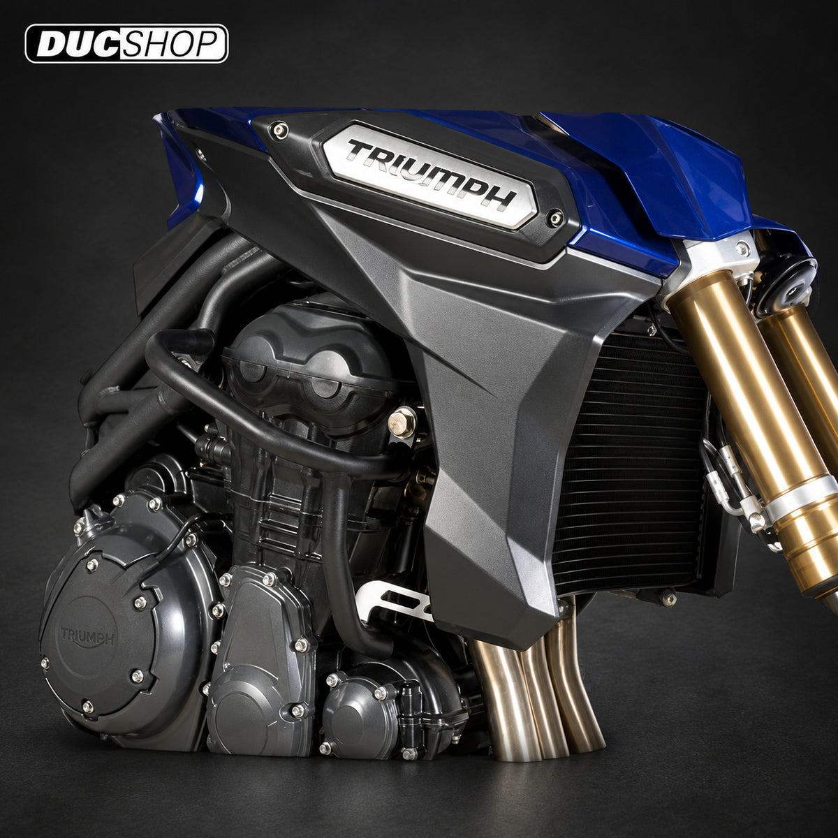 R&G Racing Adventure Bars for the Triumph Tiger Explorer 1200 '12-'18 | Crash Bars | ducshop.com