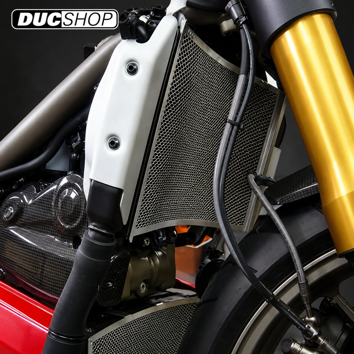 AELLA Radiator Guard for Ducati Streetfighter - Lower | Radiator & Oil Cooler Guards | ducshop.com