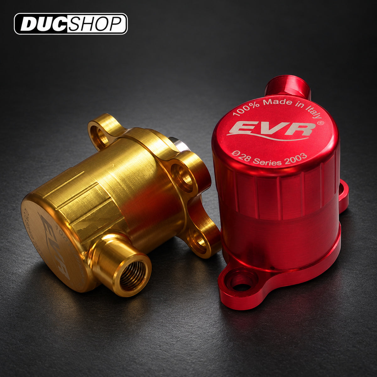 EVR Clutch Slave For Ducati | Dry Clutch Slaves | ducshop.com