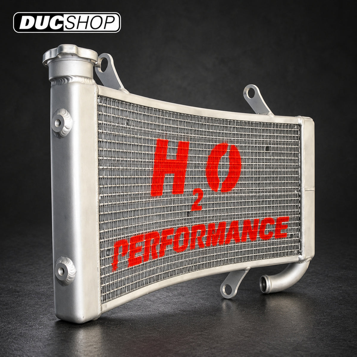 Galletto Radiatori (H2O Performance) Original Size Racing Radiator kit For Ducati Monster S4 / S4R / S4RS / S4RT | Radiators & Oil Coolers | ducshop.com
