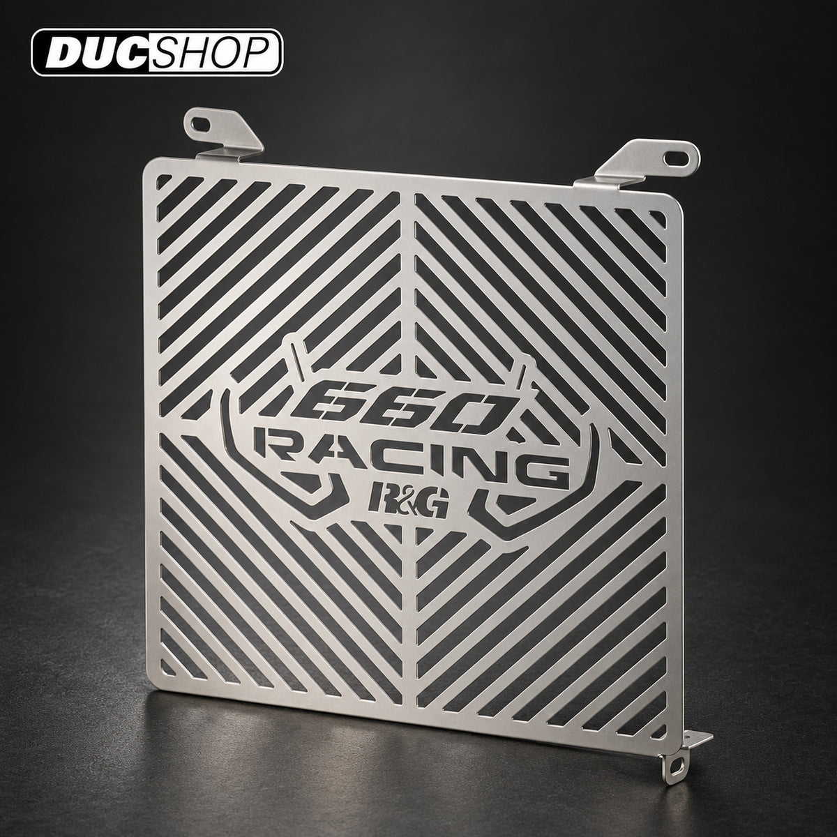 R&G Racing Radiator Guard (Stainless) for the Aprilia RS 660 '21-'22 | Radiator & Oil Cooler Guards | ducshop.com