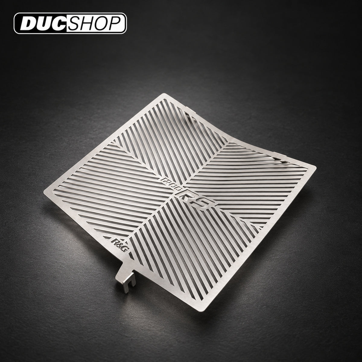 R&G Racing Radiator Guard (Silver, Stainless) for the Triumph Speed Triple 1200 RS '21-'22 | Radiator & Oil Cooler Guards | ducshop.com