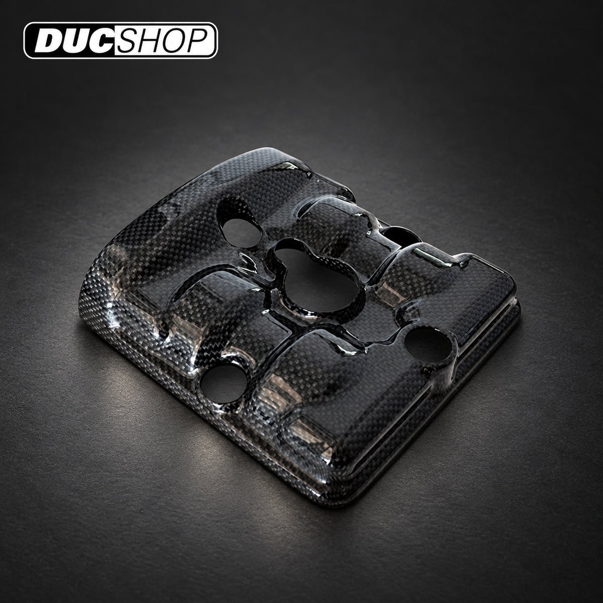 Carbon4us Vertical Cylinder-Head Cover — Testastretta Evo — representative product view; selected finish may vary | Engine Accessories | ducshop.com