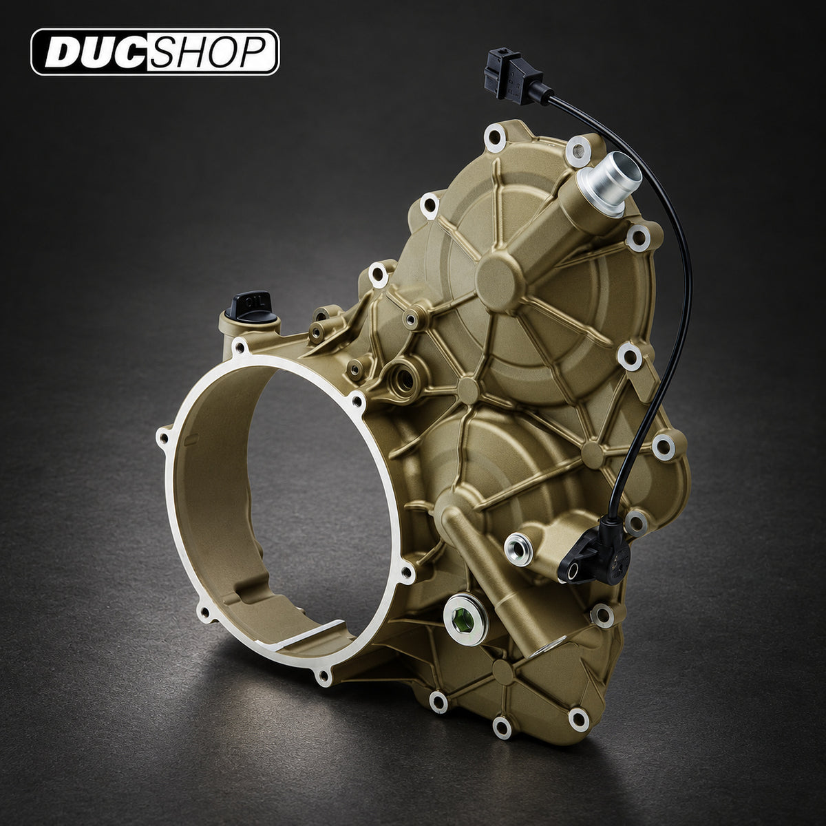 Magnesium Clutch Side Case Kit for Clear Wet Clutch Cover for the Ducati Streetfighter V4 / S (20-22) | Wet Clutch Covers | ducshop.com