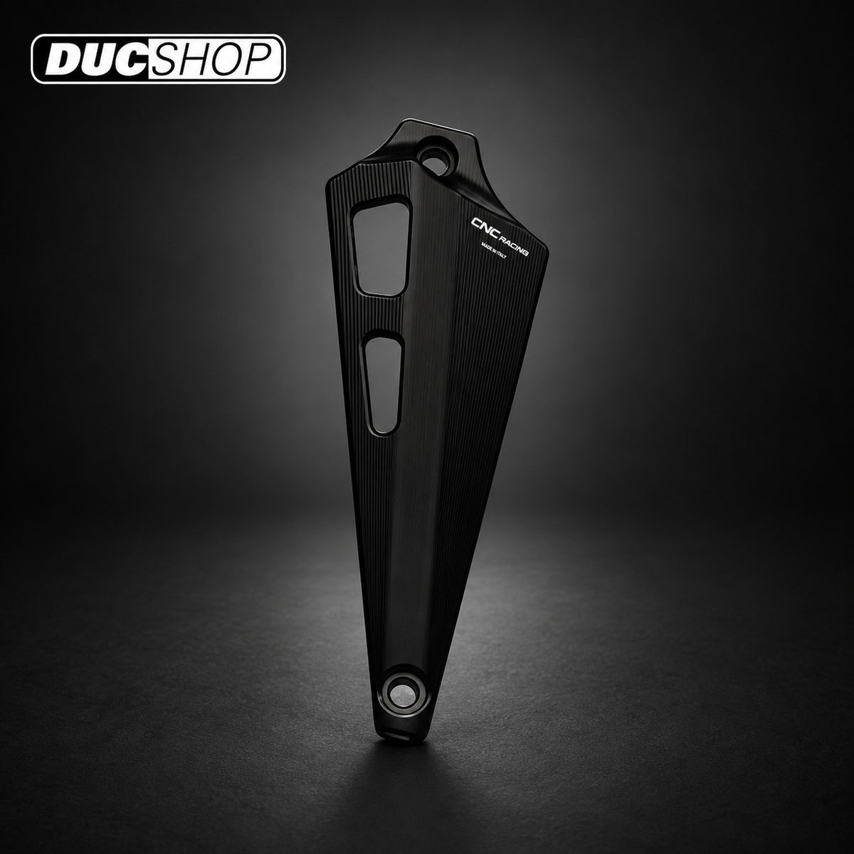 CNC Racing Billet Belt Cover Air Intake for Vertical Cylinder For XDiavel/S for Ducati motorcycles - DucShop