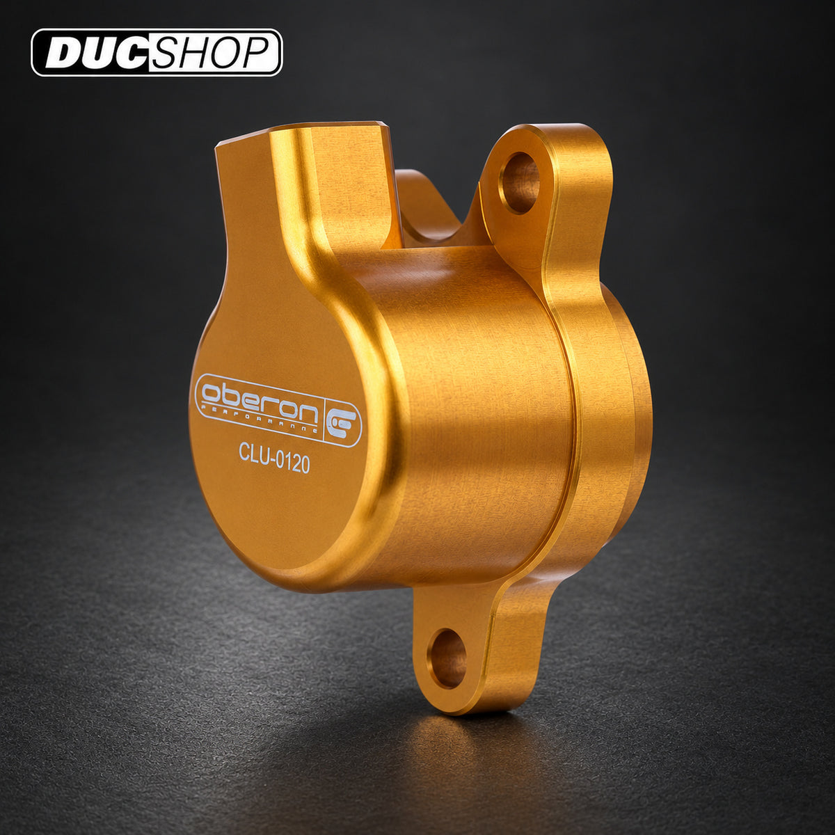 Oberon 30mm Aprilia Caponord 1000, Futura, Falco, RSV, Tuono and Kawasaki H2 / R Clutch Slave Cylinder | Wet Clutch Slaves & Actuators | ducshop.com