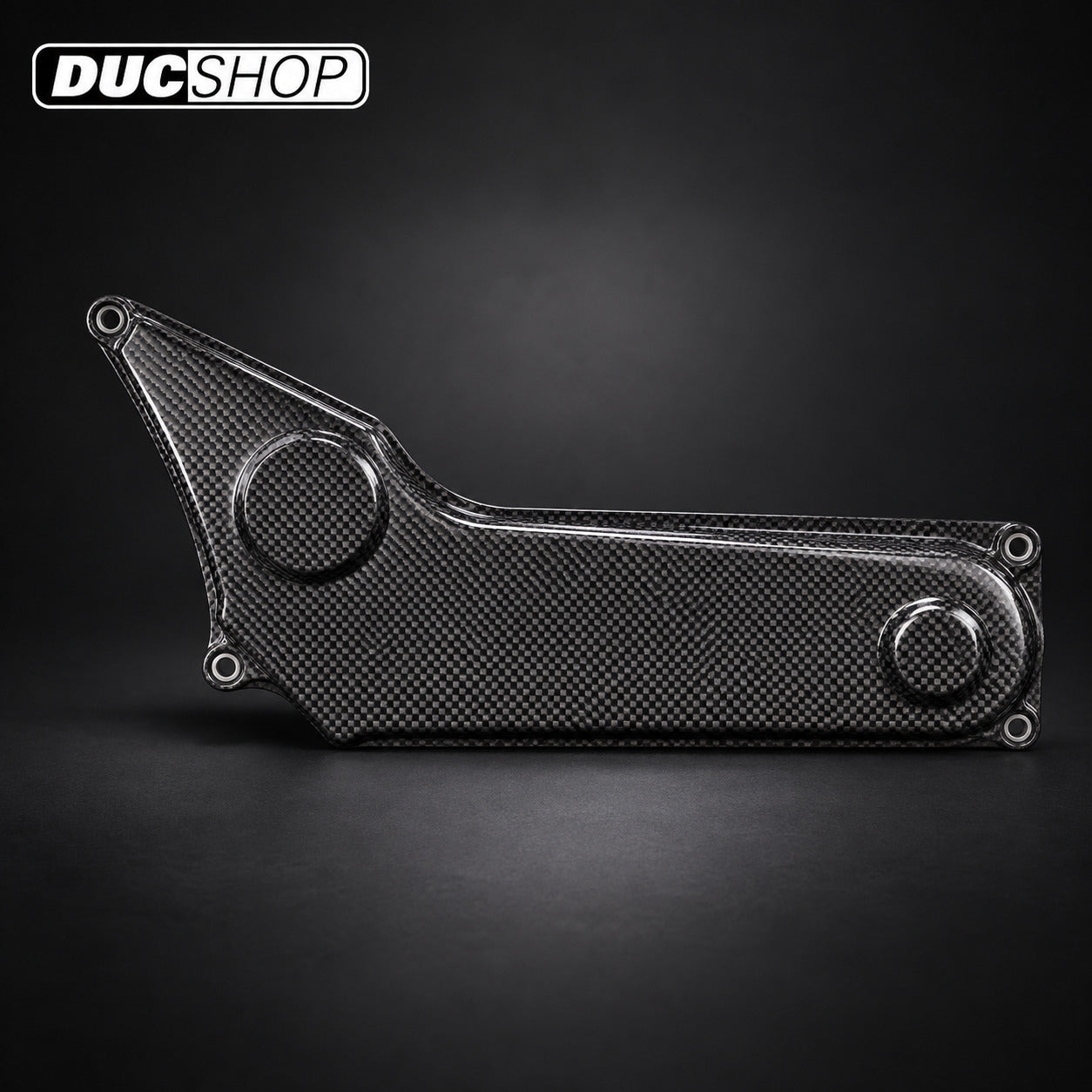 AviaCompositi Carbon Fiber Belt Covers for Ducati Monster and Supersport 620 / 695 / 800, S2R 800, and Multistrada 620 for Ducati motorcycles - DucShop