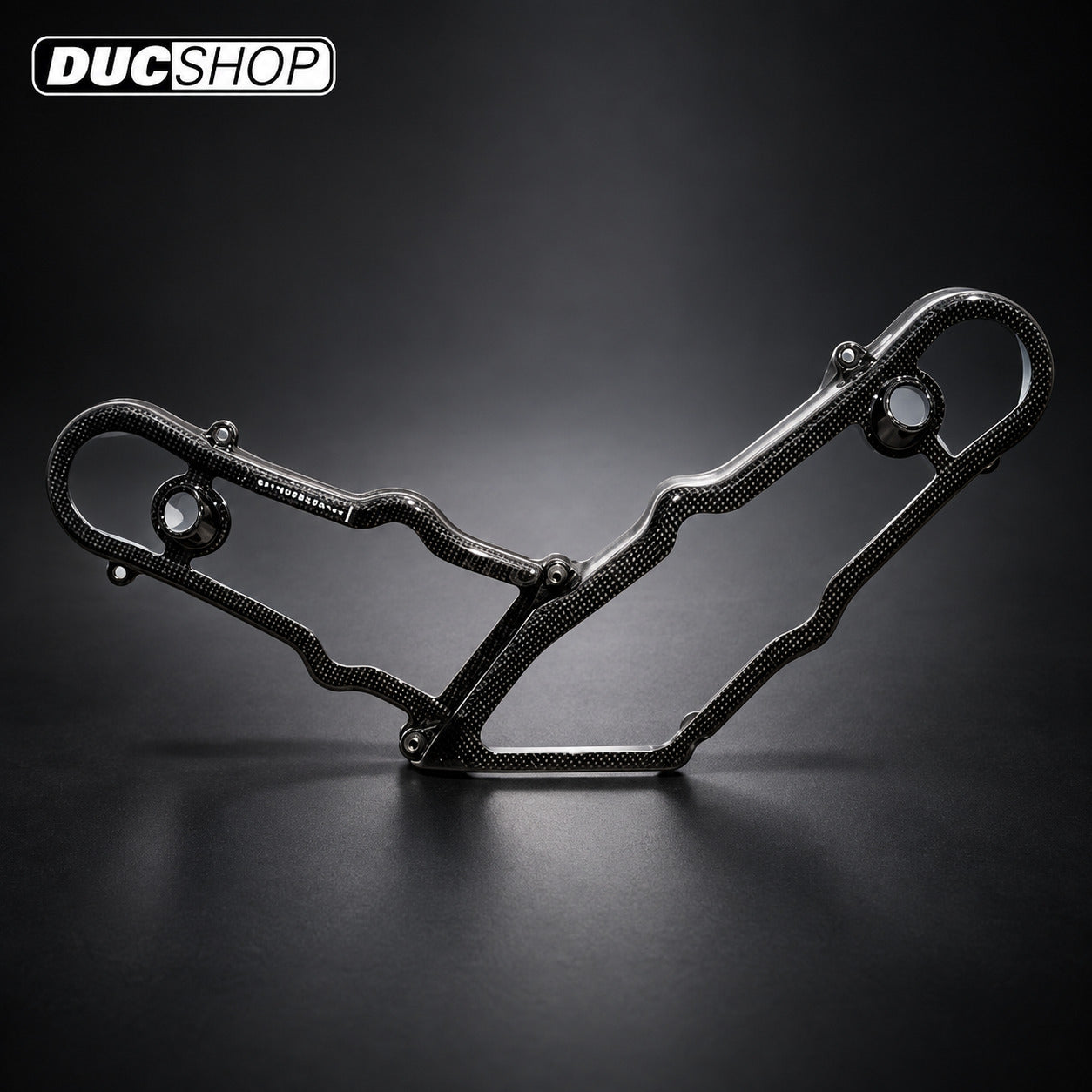 AviaCompositi Carbon Fiber And Clear Window Belt Covers for Ducati Dual Spark motors for Ducati motorcycles - DucShop