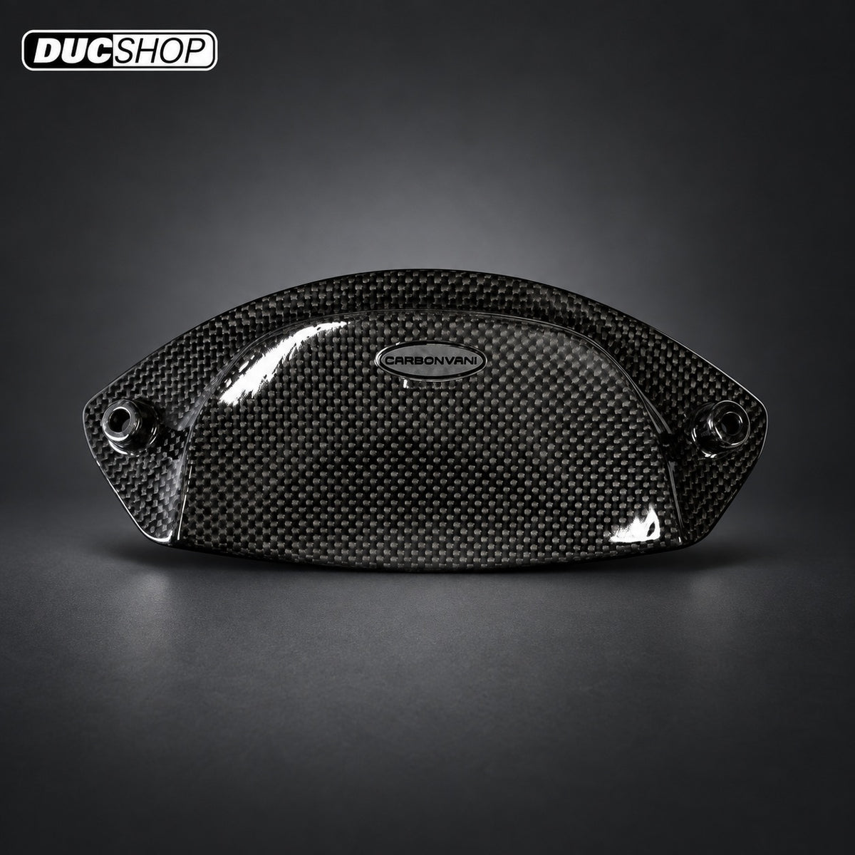 Carbonvani - Ducati Panigale V4 / S Carbon Fiber Intake Extender (2025+) - DucShop