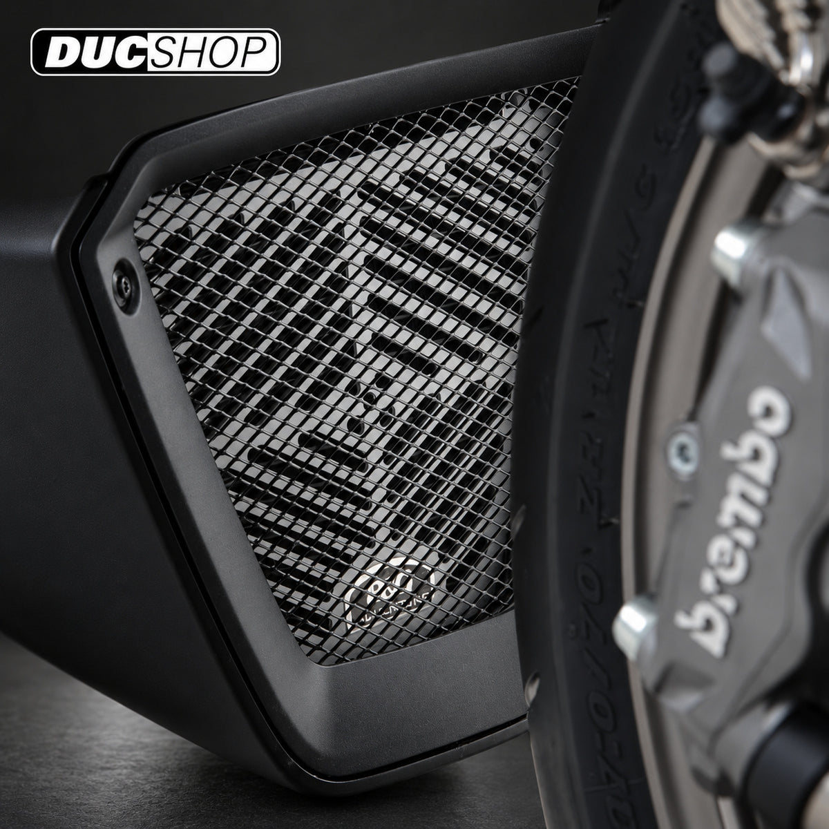 R&G Racing Brushed Aluminium Oil Cooler Guard for the Ducati XDiavel '16- | Radiator & Oil Cooler Guards | ducshop.com