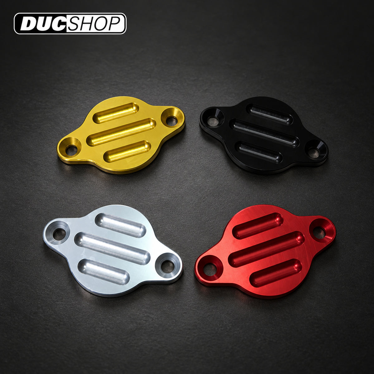 TPO CORSA Timing Inspection Cover — S-1064 — representative product view; selected finish may vary | Engine Accessories | ducshop.com