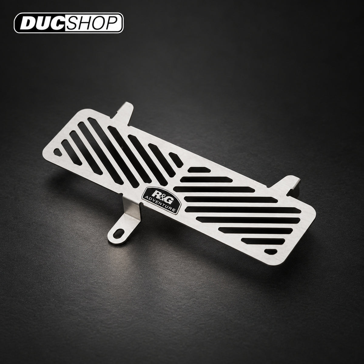 R&G Racing Stainless Steel Oil Cooler Guard BMW S1000R '14-'15 S1000RR '09-'15 & S1000XR '15-'16 | Radiator & Oil Cooler Guards | ducshop.com