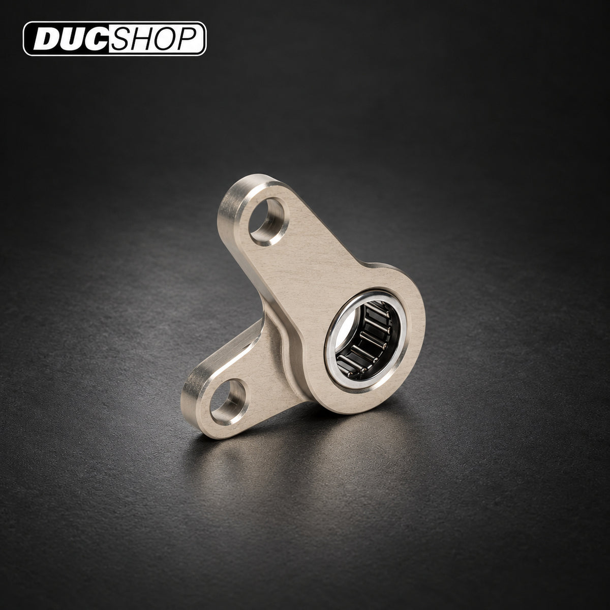 Gilles Shift Holder Support — Triumph Speed Triple 1200 RR / RS — shift-shaft support assembly | Shift Holder Supports | ducshop.com