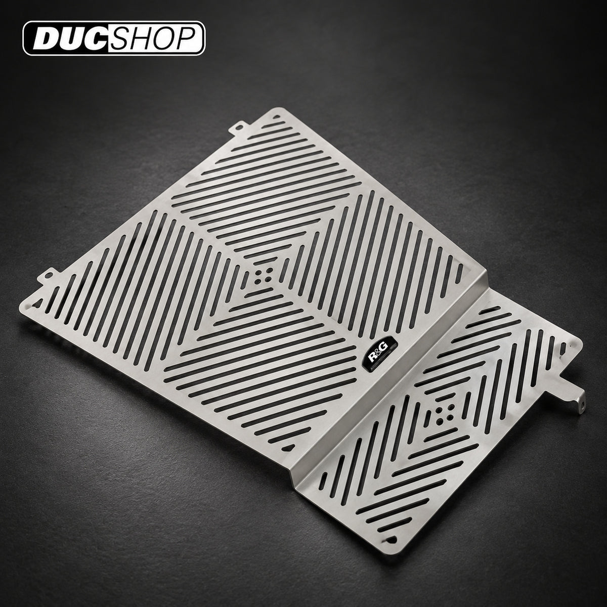 R&G Racing Stainless Steel Radiator & Oil Cooler Guard for Aprilia Caponord 1200 '13-'20 | Radiator & Oil Cooler Guards | ducshop.com