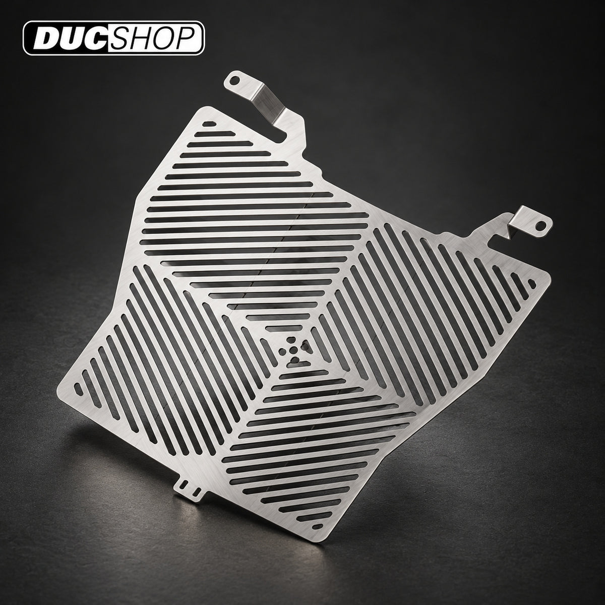 R&G Racing Stainless Steel Radiator Guard for BMW S1000XR '15-'19 | Radiator & Oil Cooler Guards | ducshop.com