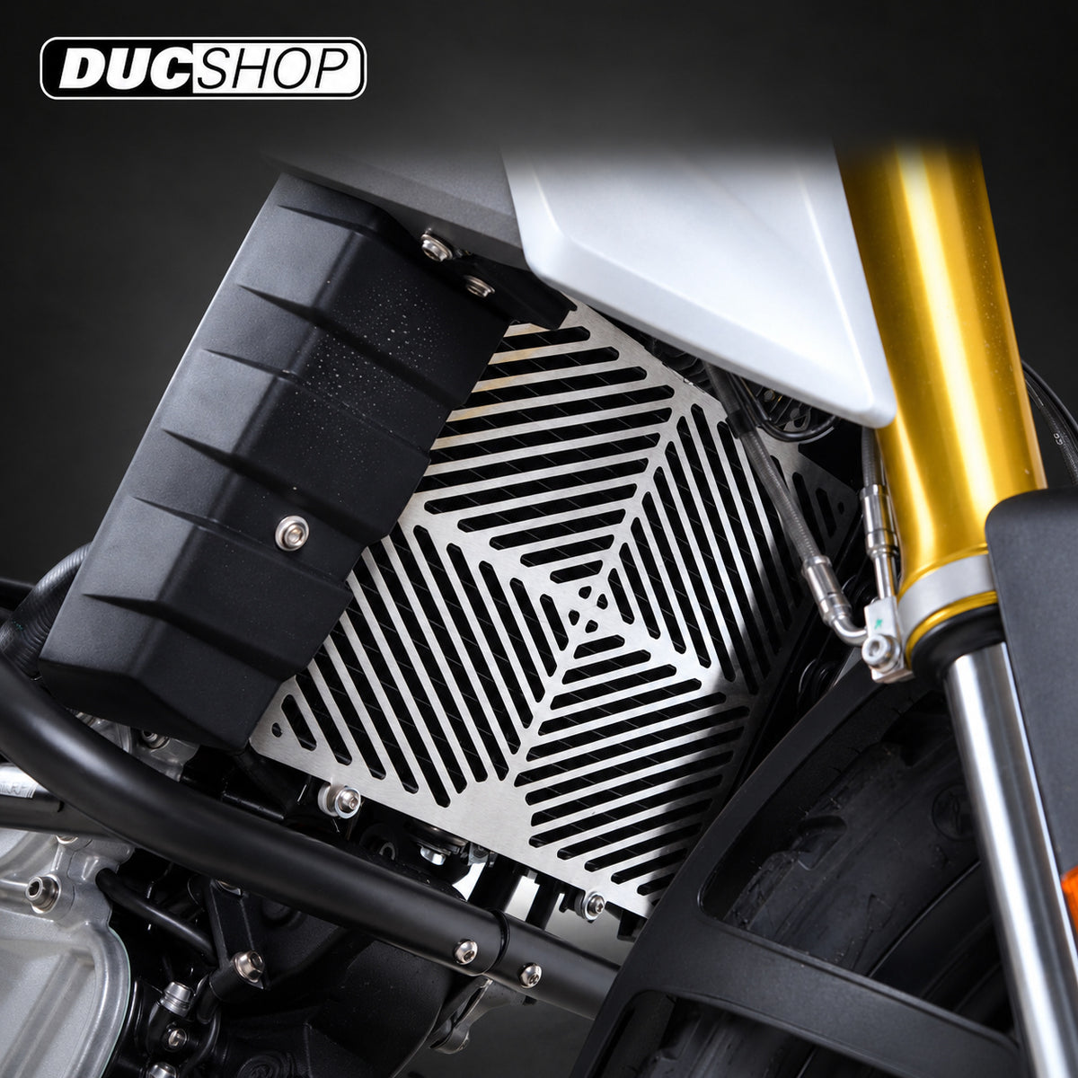 R&G Racing Stainless Steel Radiator Guard for the BMW G310R '17-19 and G310GS '17-19 models | Radiator & Oil Cooler Guards | ducshop.com