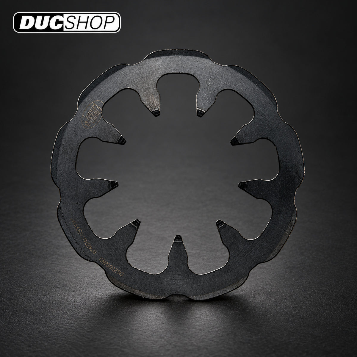 STM Secondary Springs for the EVO GP STM Slipper Clutch | Dry Clutch Hardware & Kits | ducshop.com