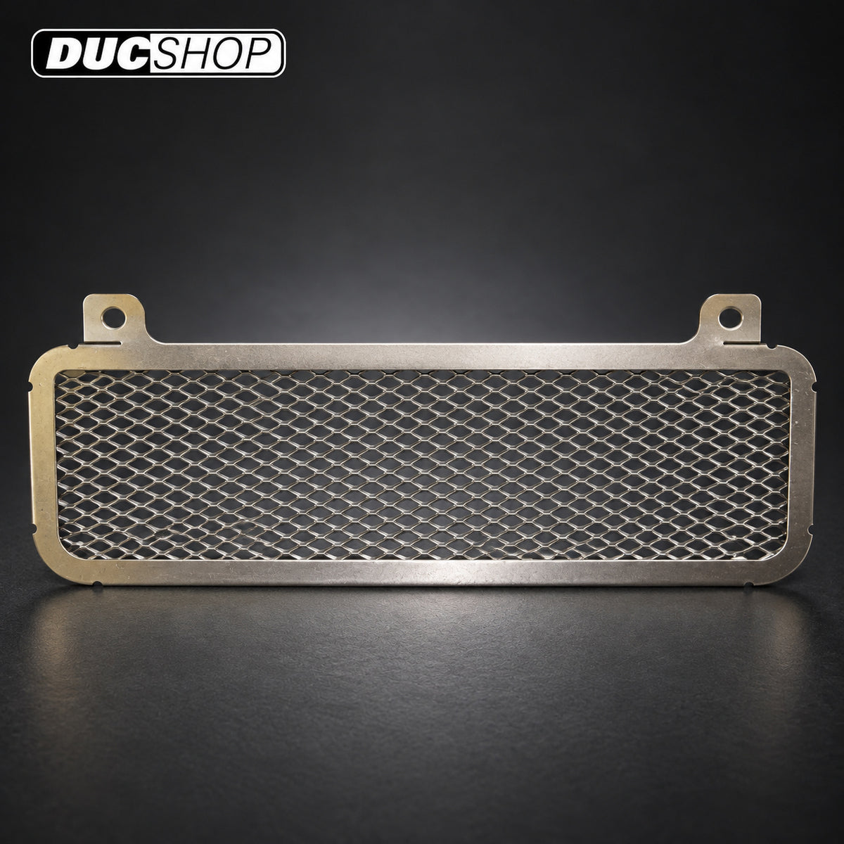 Cox Racing Radiator Guards for the BMW R1200GS (03-07) | Radiator & Oil Cooler Guards | ducshop.com