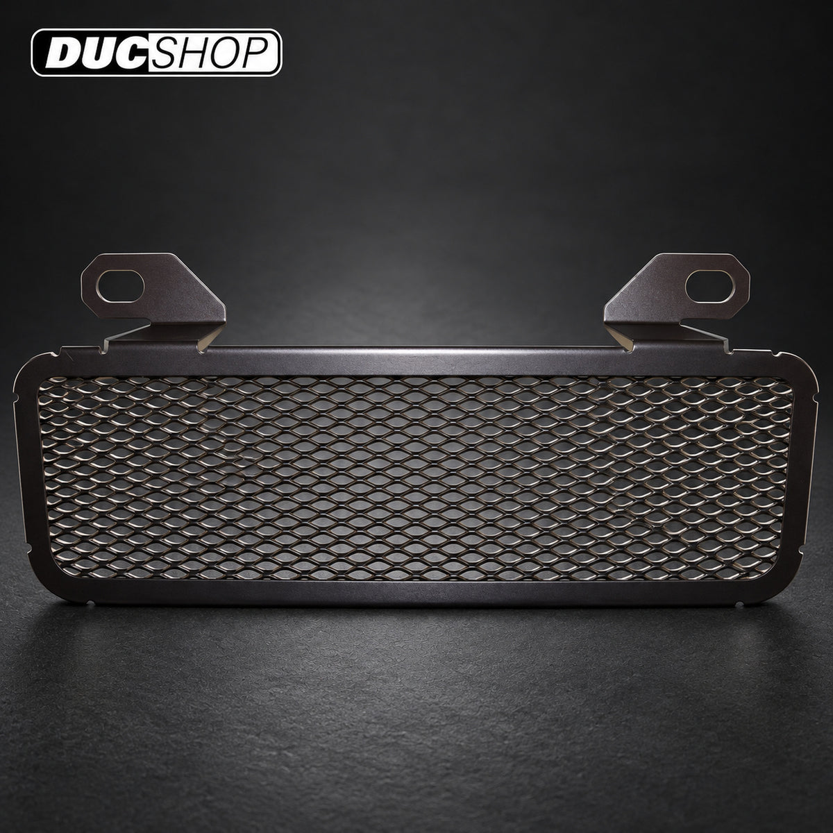 Cox Racing Radiator Guards for the BMW R1200GS (08-12) | Radiator & Oil Cooler Guards | ducshop.com