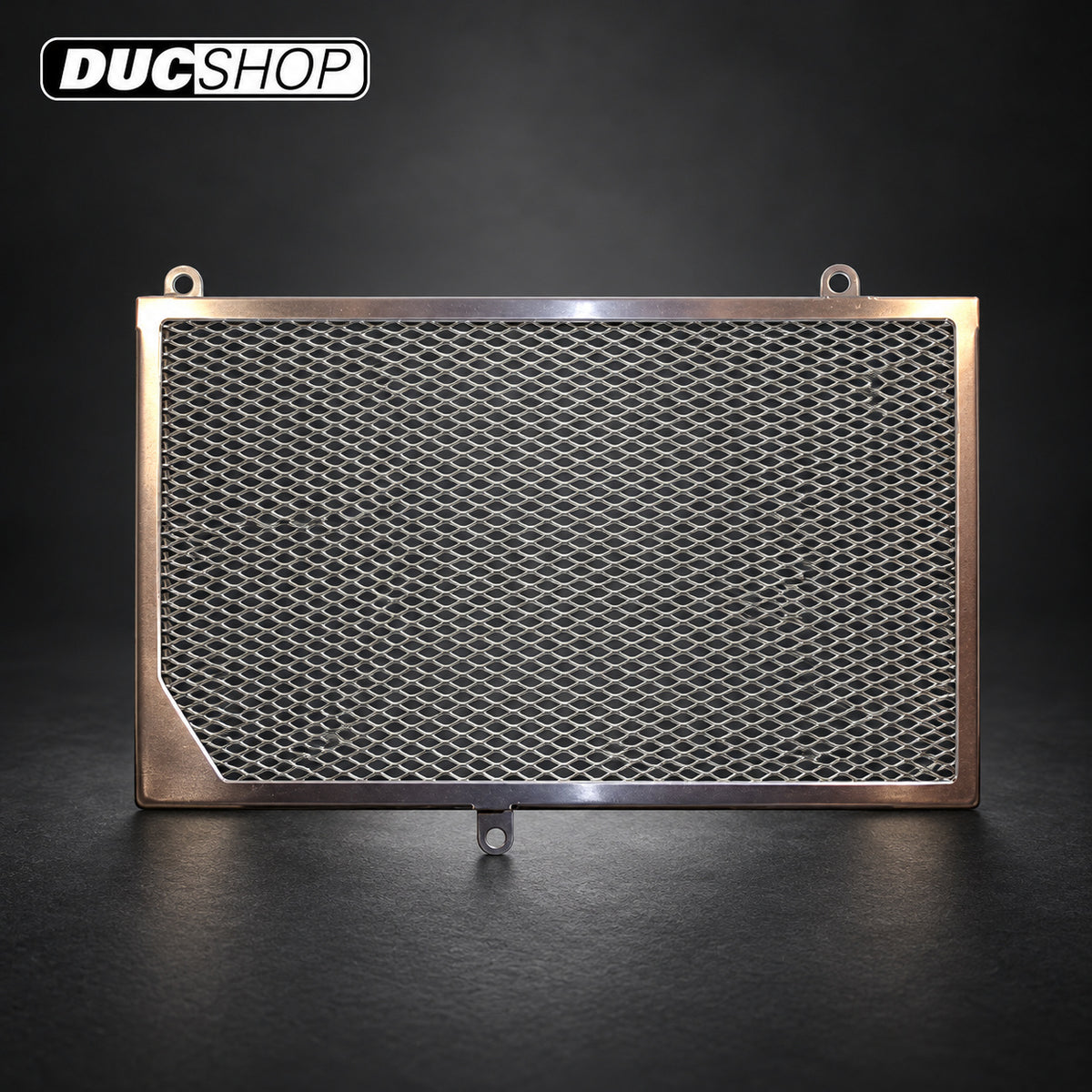 Cox Racing Radiator Guards for the BMW F650GS (08-15) and F700GS (13-15) | Radiator & Oil Cooler Guards | ducshop.com