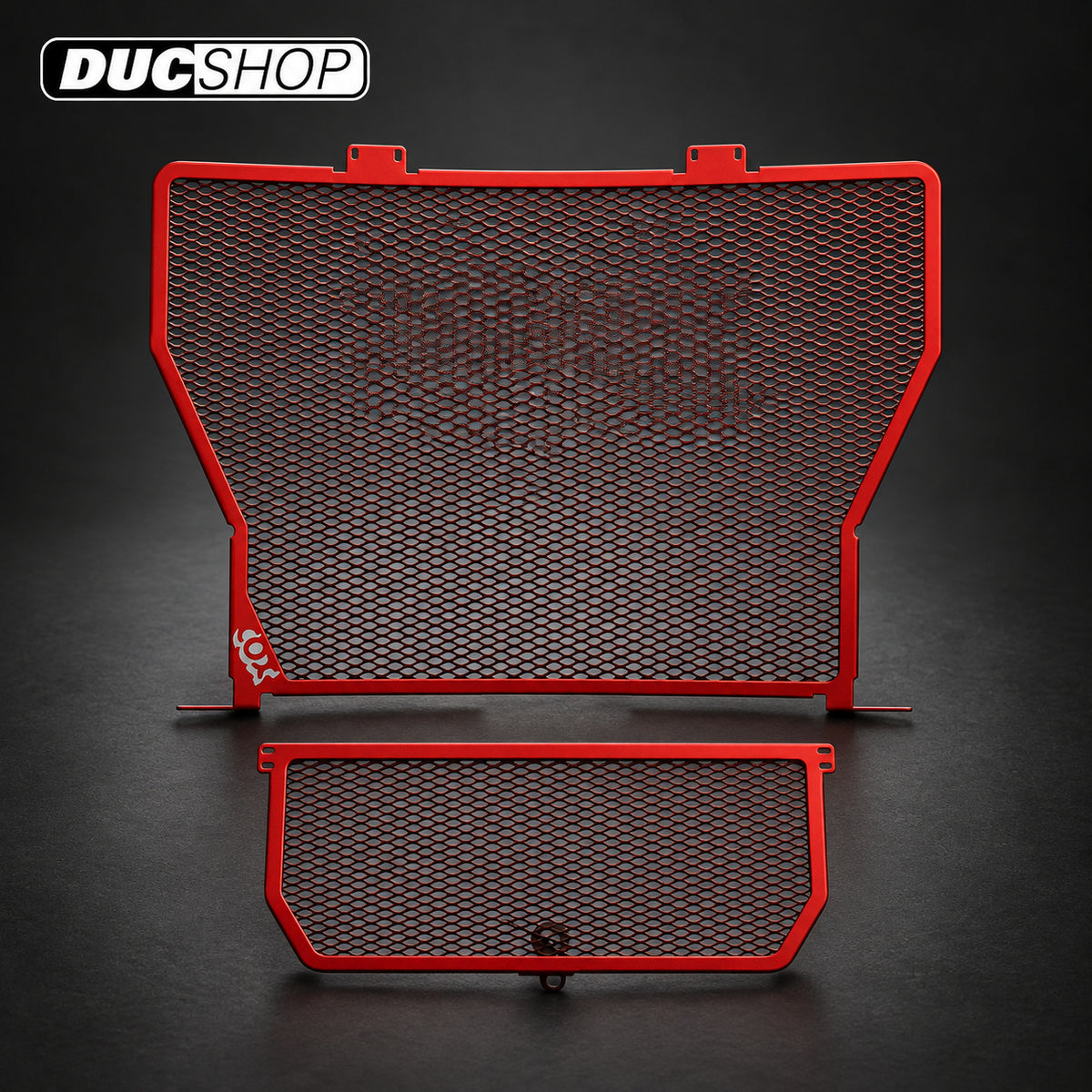 Cox Racing Radiator Guards for the BMW S1000RR, S1000R, and HP4 (10-14) | Radiator & Oil Cooler Guards | ducshop.com