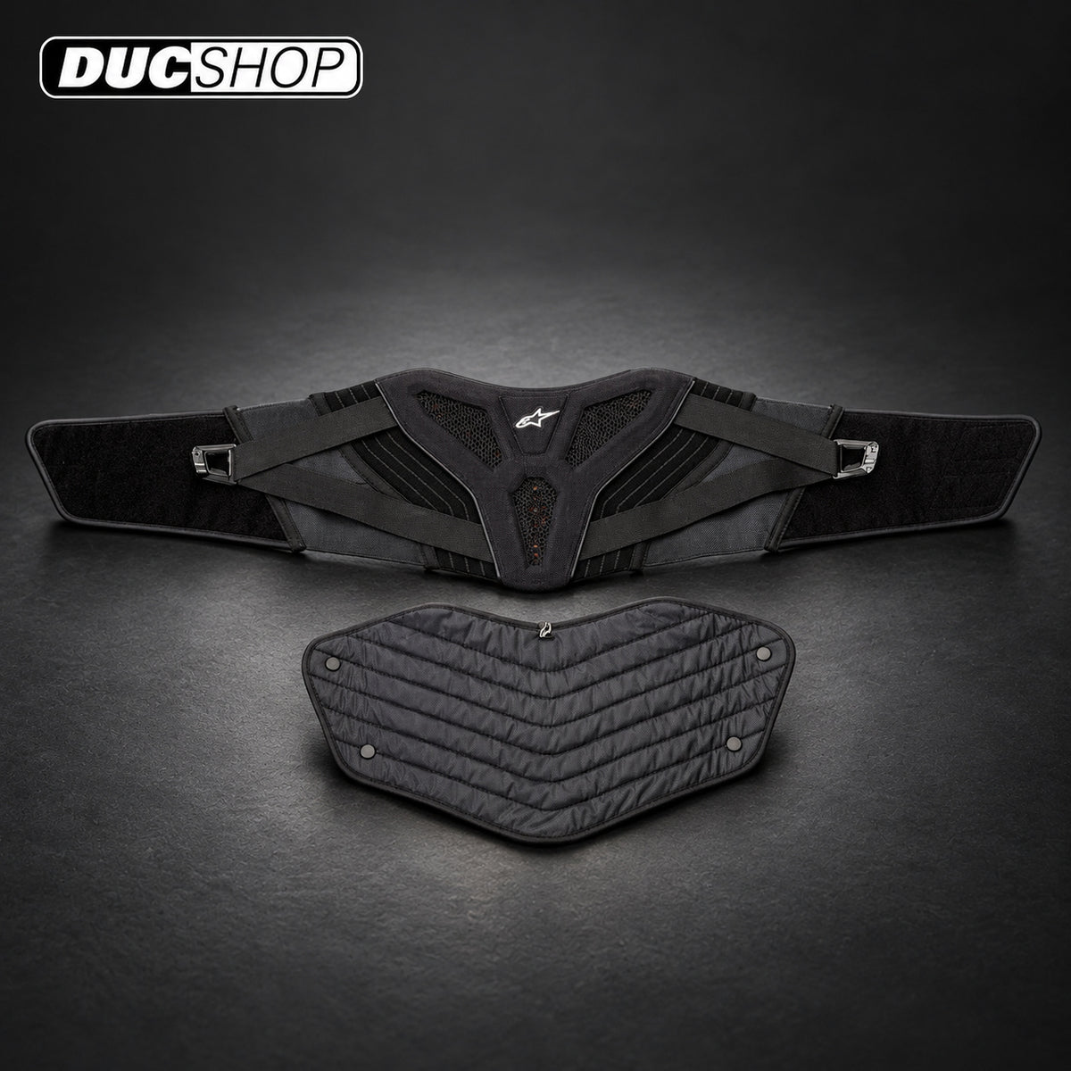 Alpinestars Touring Kidney Belt | Protective Gear | DucShop