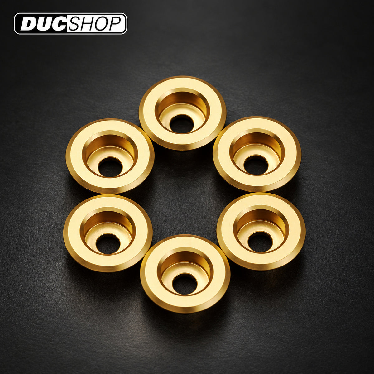 AELLA Clutch Spring Retainer Set | Dry Clutch Hardware & Kits | ducshop.com