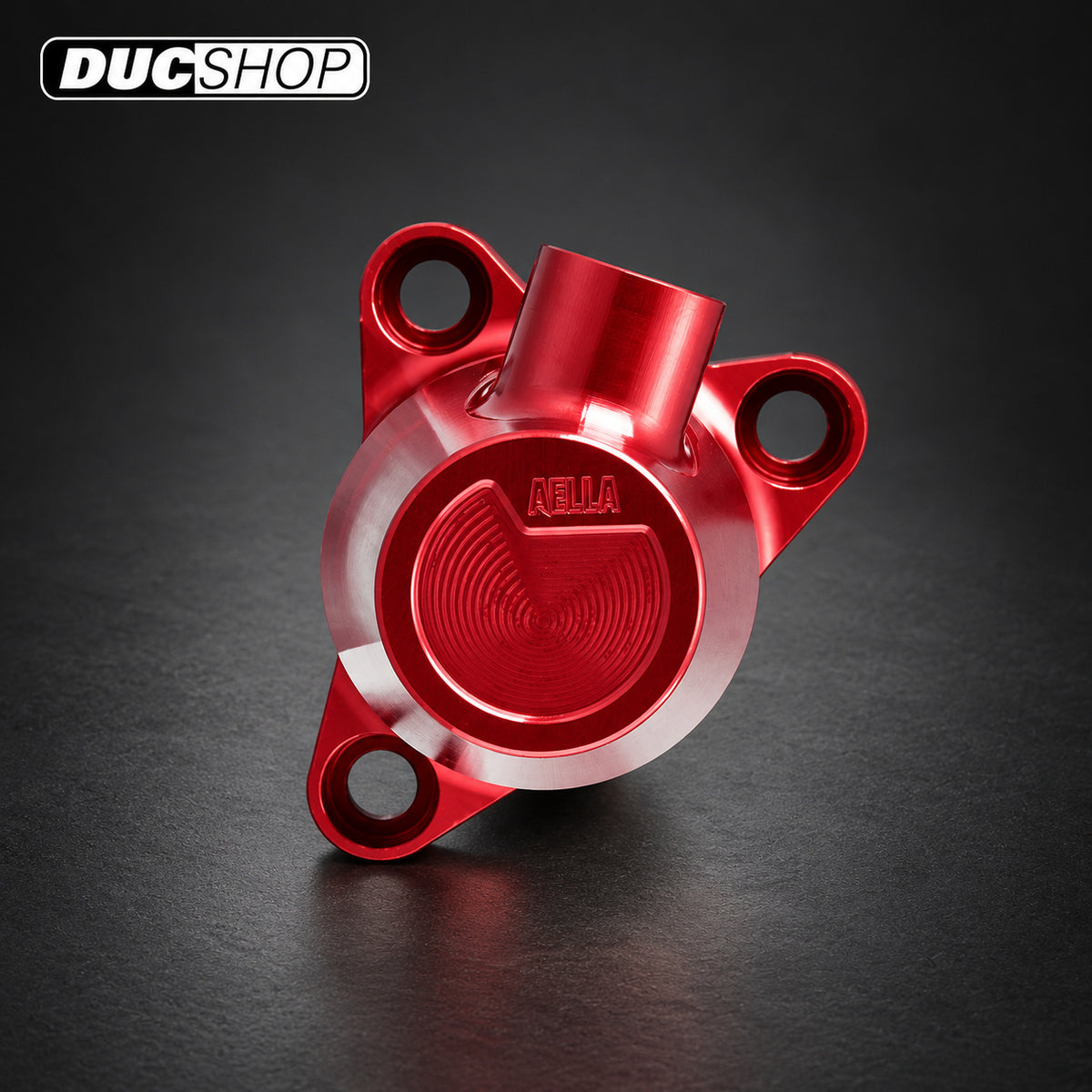 AELLA 28 mm Clutch Release Cylinder (Panigale) | Dry Clutch Slaves | ducshop.com