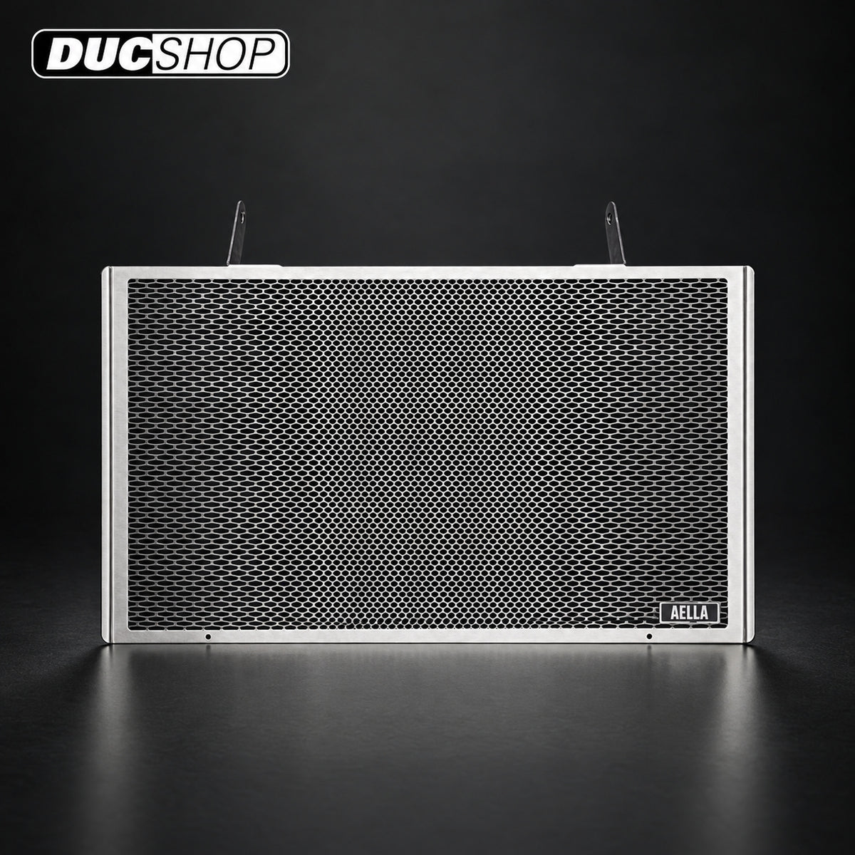 AELLA Radiator Guard for Ducati 749 / 999 | Radiator & Oil Cooler Guards | ducshop.com