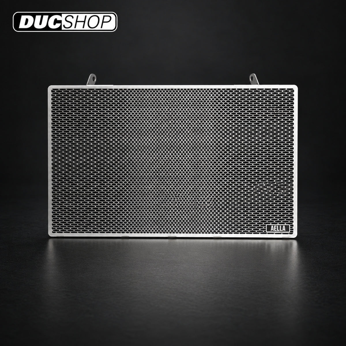 AELLA Radiator Guard for Ducati ST4 / ST3 / ST2 | Radiator & Oil Cooler Guards | ducshop.com