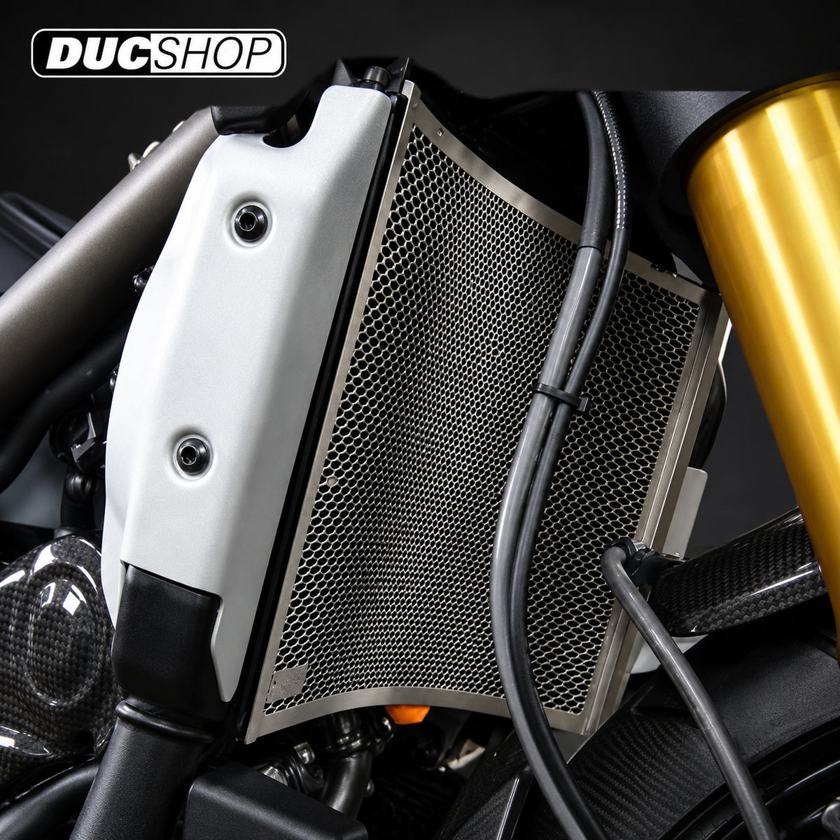 AELLA Radiator Guard for Ducati Streetfighter - Upper | Radiator & Oil Cooler Guards | ducshop.com
