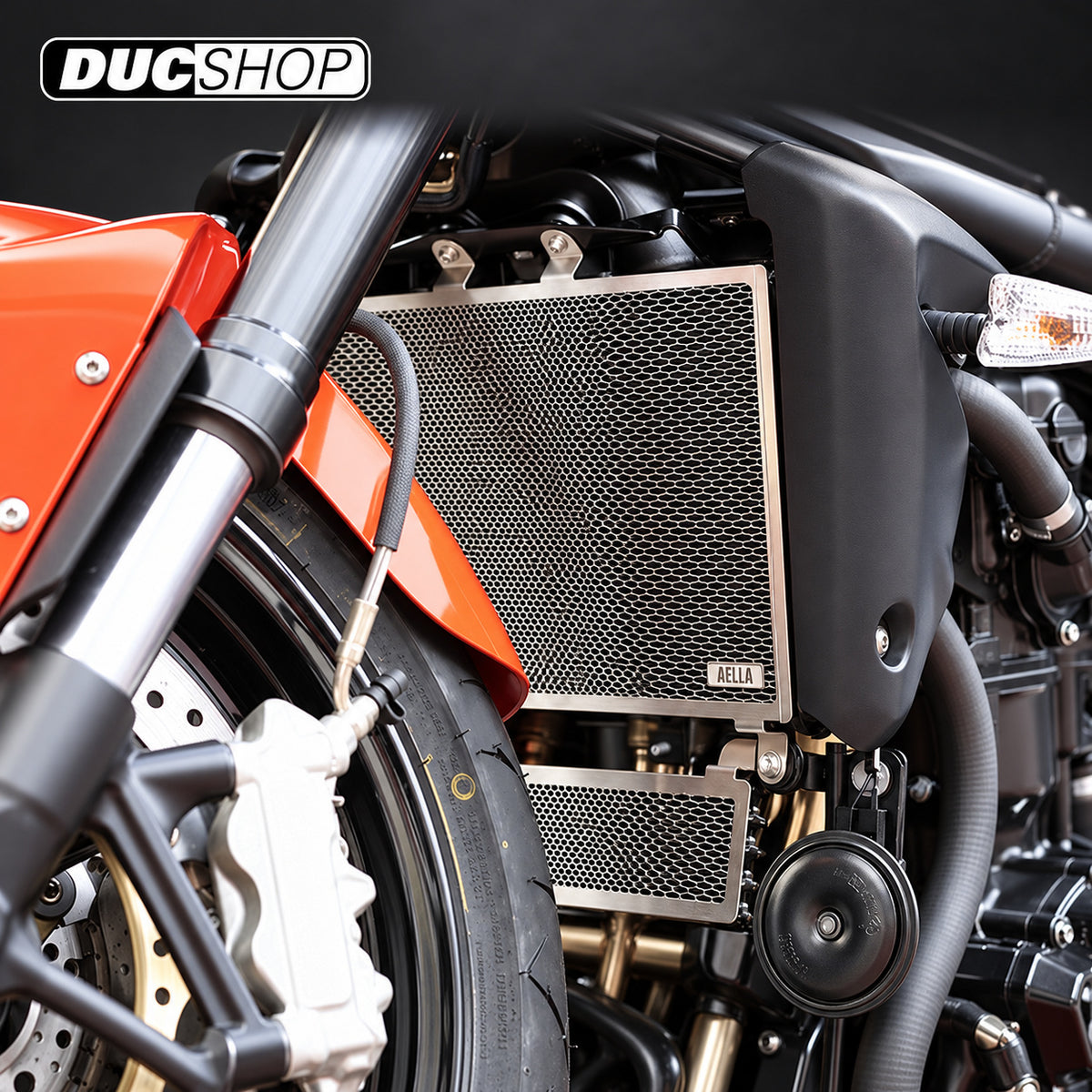 AELLA Radiator Guard for Triumph Speed Triple 1050 | Radiator & Oil Cooler Guards | ducshop.com