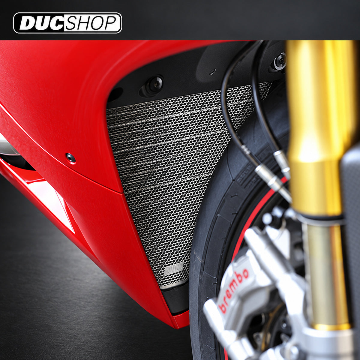 AELLA Radiator Guard - Lower - For Ducati Panigale | Radiator & Oil Cooler Guards | ducshop.com