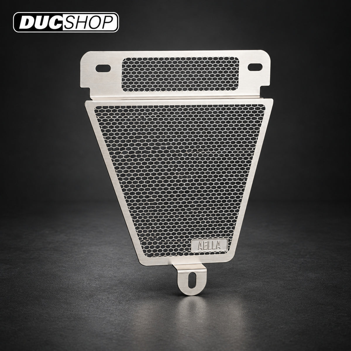 AELLA Oil Cooler Guard Ducati 749 / 999 | Radiator & Oil Cooler Guards | ducshop.com