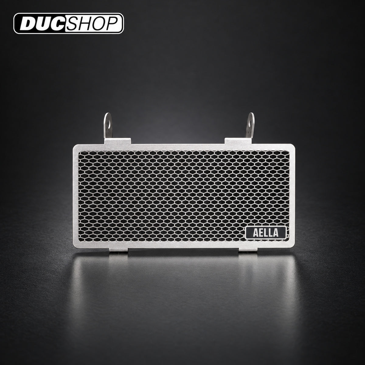 AELLA Oil Cooler Guard for the Ducati Monster S4R and ST4 / ST3 / ST2 | Radiator & Oil Cooler Guards | ducshop.com