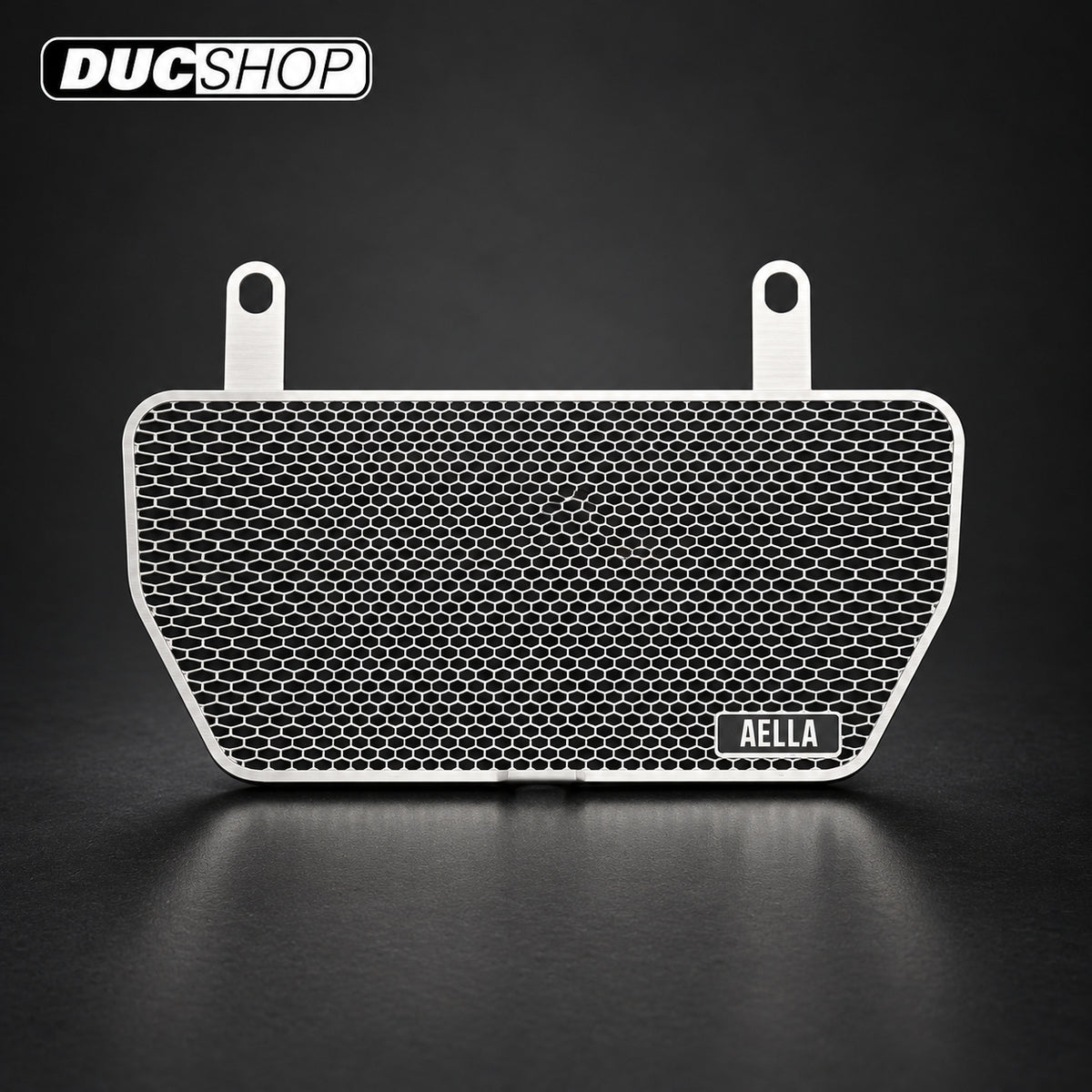 AELLA Oil Cooler Guard for Ducati 998 / 996R models | Radiator & Oil Cooler Guards | ducshop.com