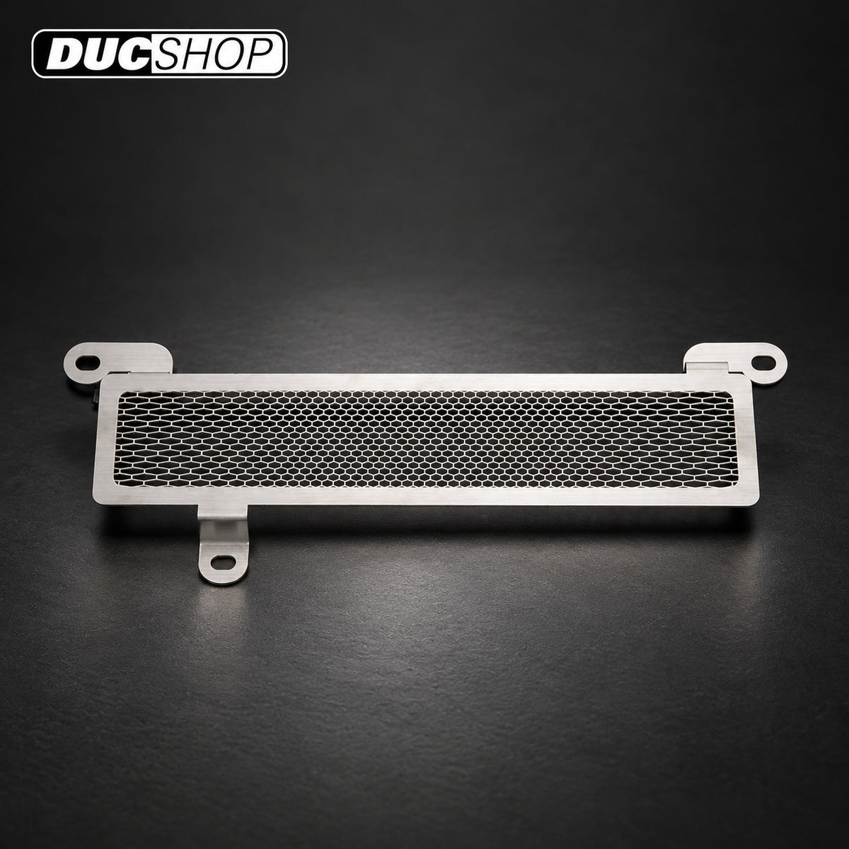 AELLA Oil Cooler Guard for Triumph Speed Triple 1050 | Radiator & Oil Cooler Guards | ducshop.com