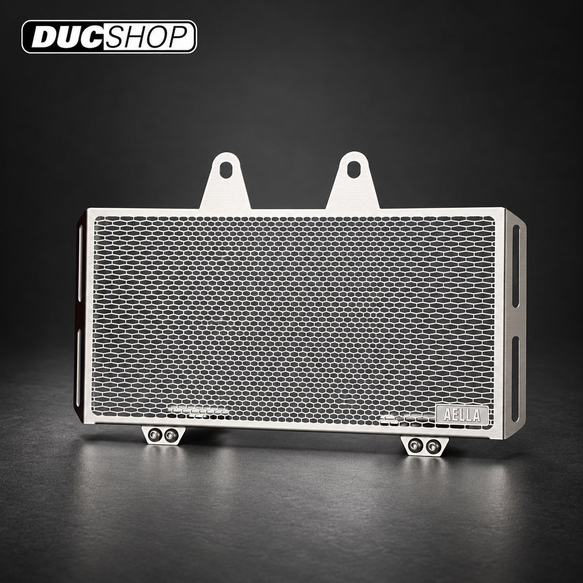 AELLA Oil Cooler Guard for the BMW R NineT | Radiator & Oil Cooler Guards | ducshop.com