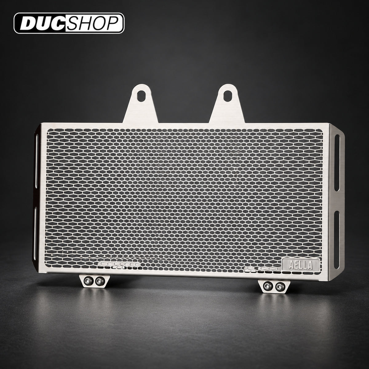 AELLA Oil Cooler Guard for the BMW R NineT - Black | Radiator & Oil Cooler Guards | ducshop.com