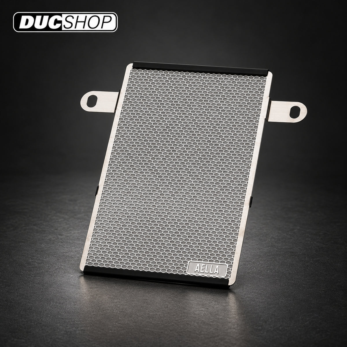 AELLA Oil Cooler Guard (SS) Stainless Steel for Ducati Supersport / S (2017+) | Radiator & Oil Cooler Guards | ducshop.com