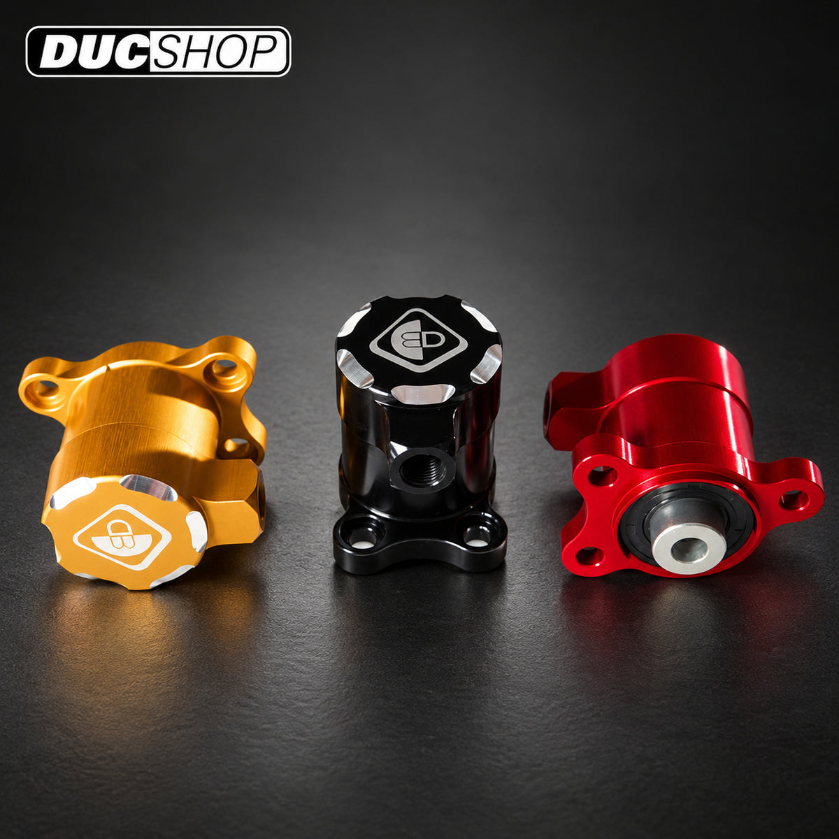 DBK Special Parts (Ducabike) Clutch Slave Cylinder for Ducati | Dry Clutch Slaves | ducshop.com