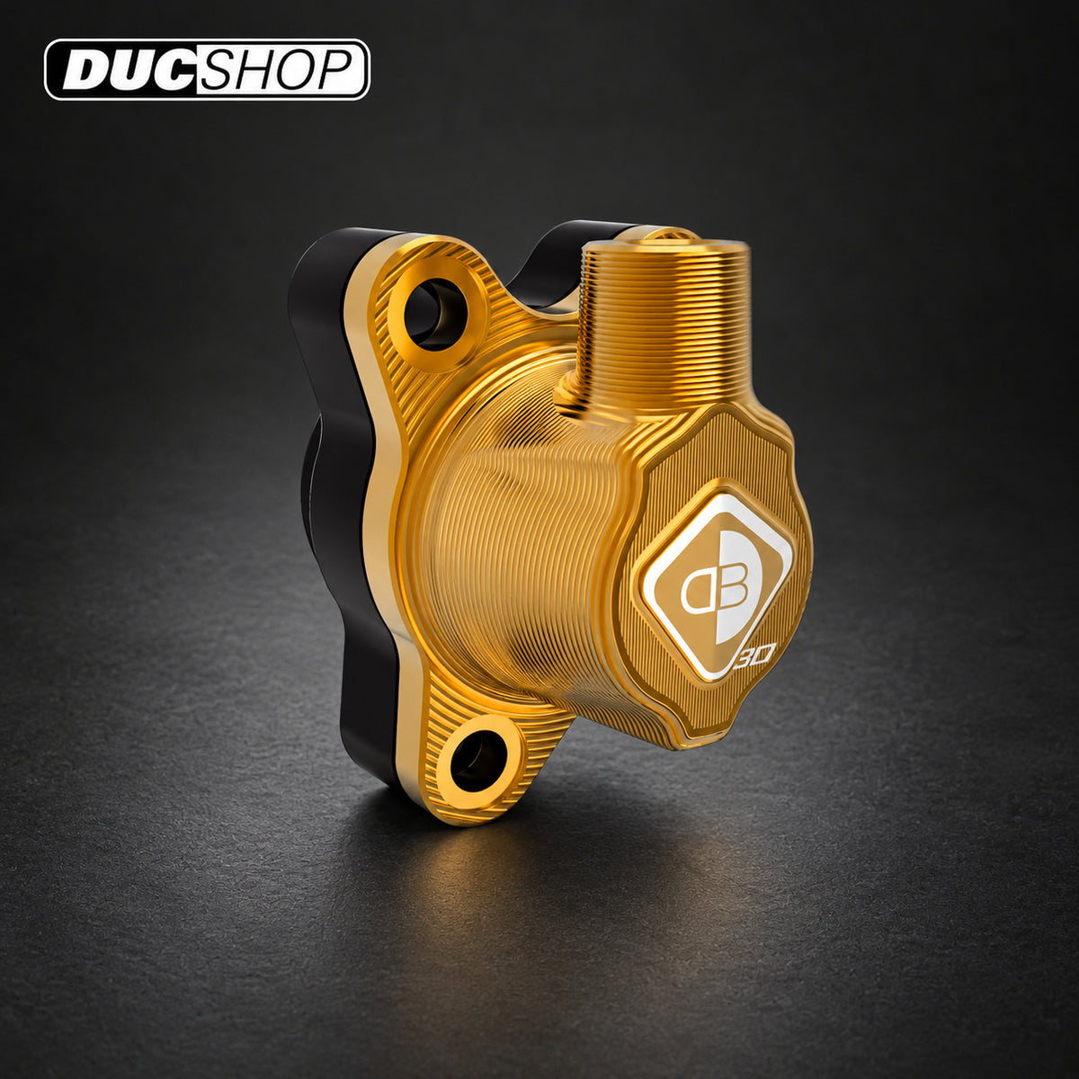 DBK Special Parts (Ducabike) 30mm Clutch Slave Cylinder for Ducati Multistrada 1260 /950, Diavel 1260, Hypermotard / Supersport 950, and Scrambler 1100 / 800 (2019+) | Wet Clutch Slaves & Actuators | ducshop.com