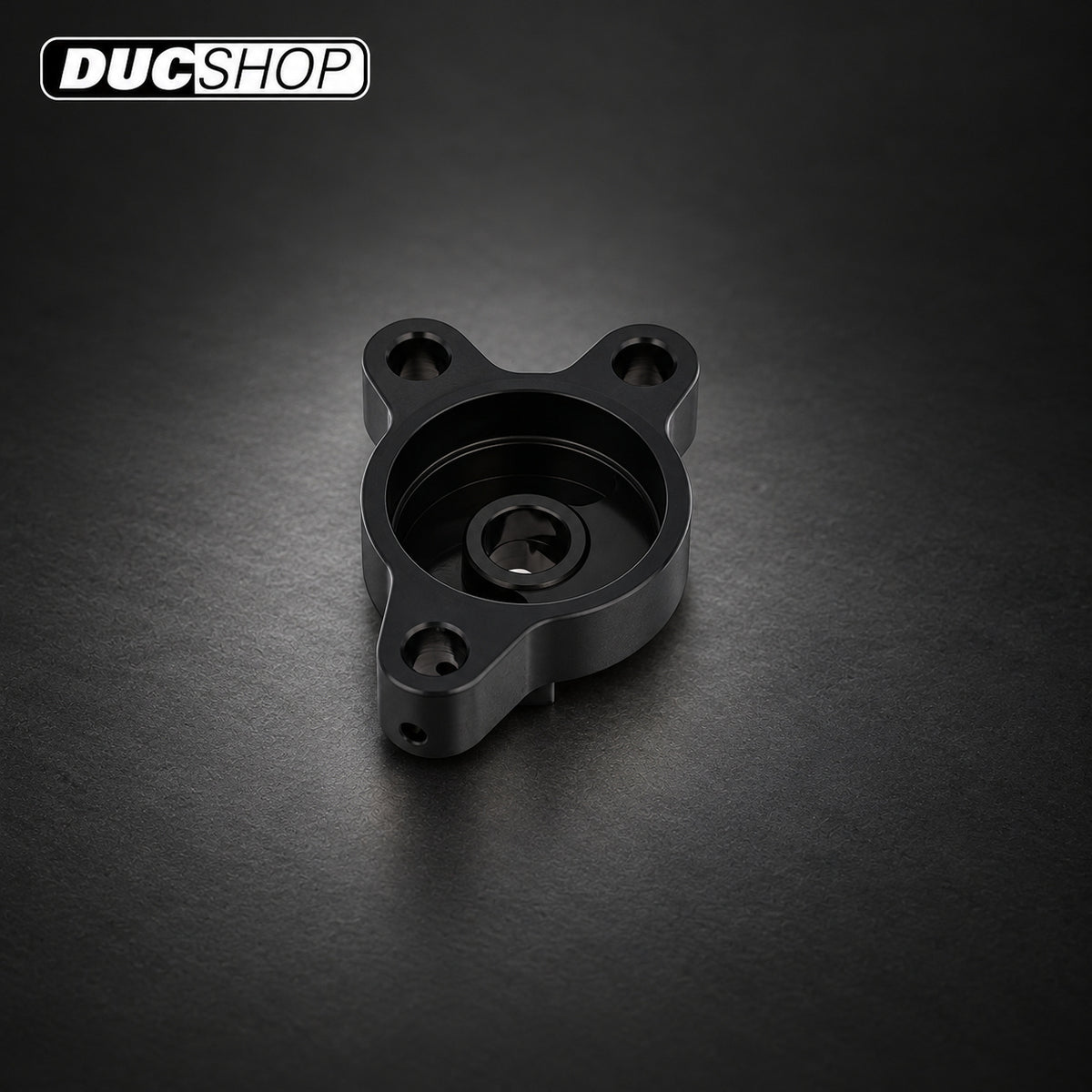 CNC Racing Billet Clutch Slave Mounting Plate for Most Ducati's (2019+ Not V4 engines) | Wet Clutch Slaves & Actuators | ducshop.com