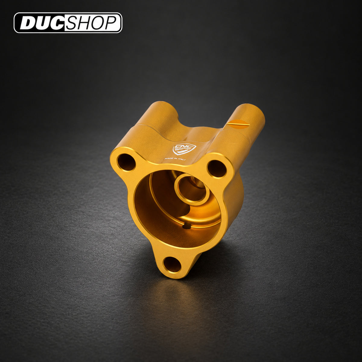 CNC Racing Billet Clutch Slave Mounting Plate for Ducati Panigale / Streetfighter V2 (20-24) | Wet Clutch Slaves & Actuators | ducshop.com