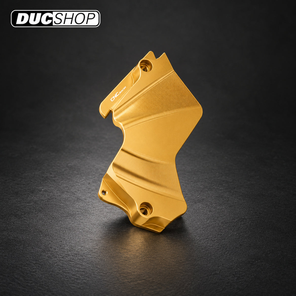 CNC Racing Front Sprocket Cover for 2015-2017 Multistrada 1200 — representative product design; finishes may vary | ducshop.com