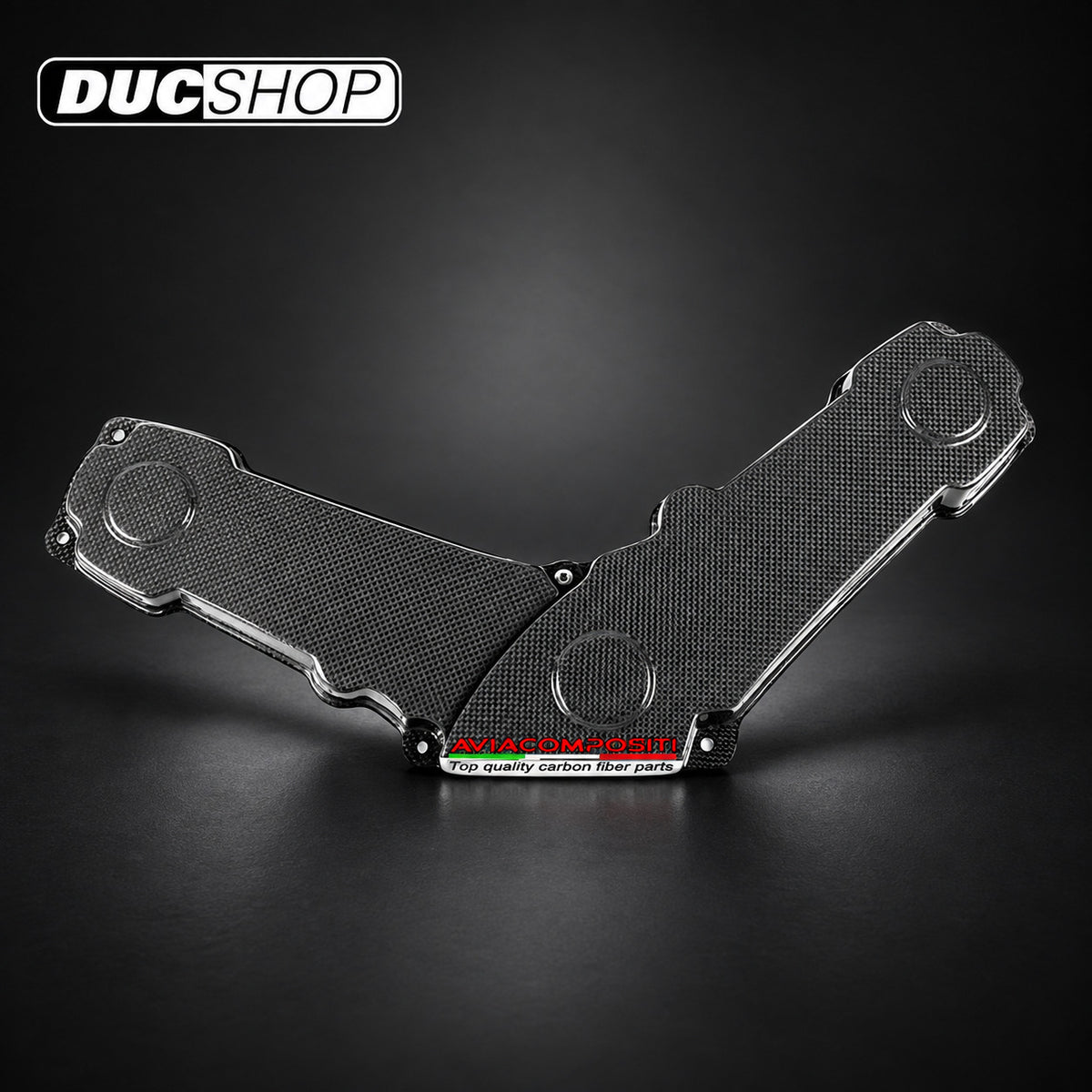 AviaCompositi Carbon Fiber Belt Covers for Ducati Monster and Supersport 600 / 750 for Ducati motorcycles - DucShop