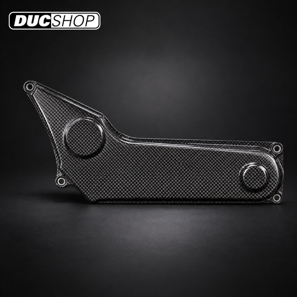 AviaCompositi Carbon Fiber Belt Covers for Ducati Monster and Supersport 620 / 695 / 800, S2R 800, and Multistrada 620 for Ducati motorcycles - DucShop