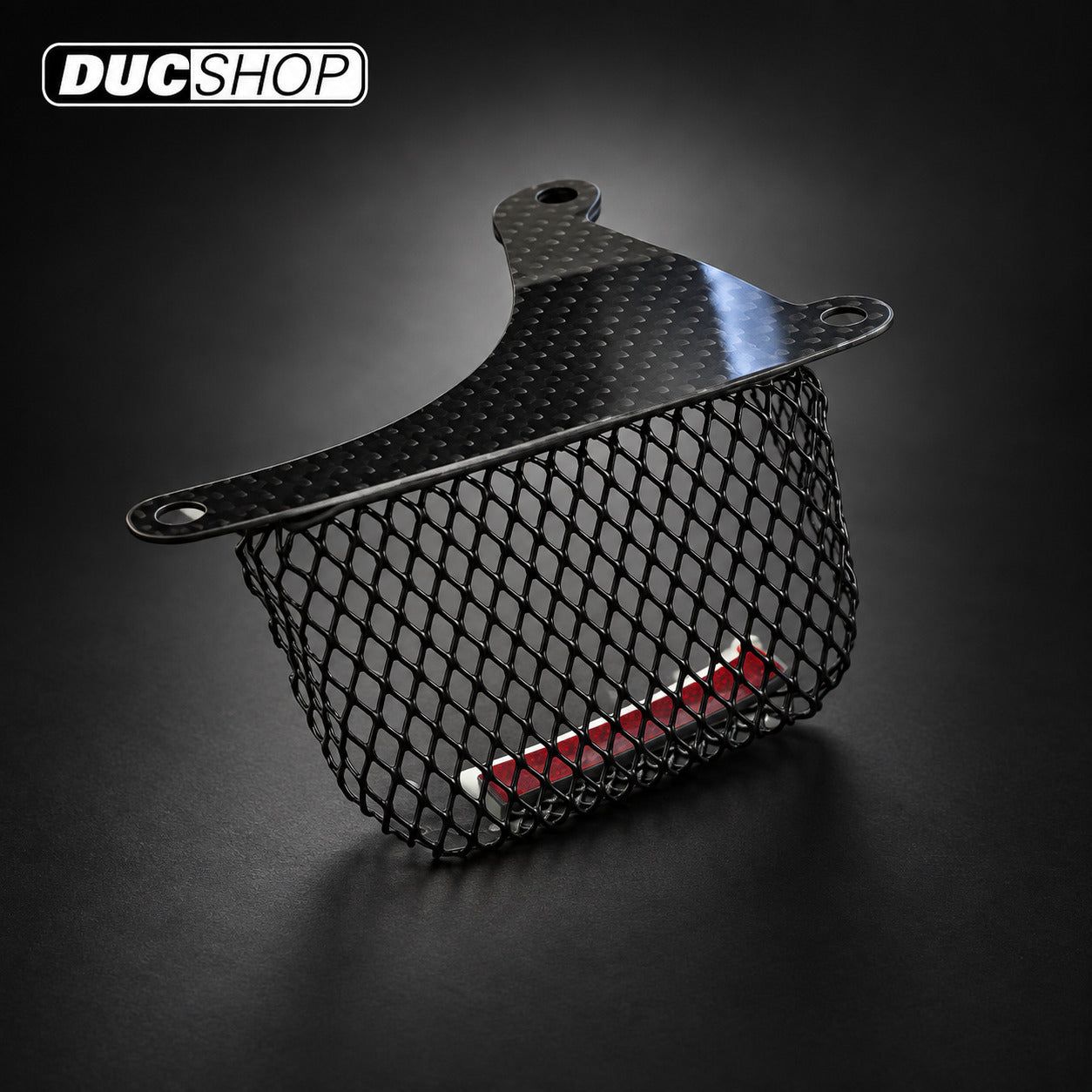 AviaCompositi Carbon Fiber Grill and Filter Holder Insert for D061 Belt Cover Kit for Ducati motorcycles - DucShop